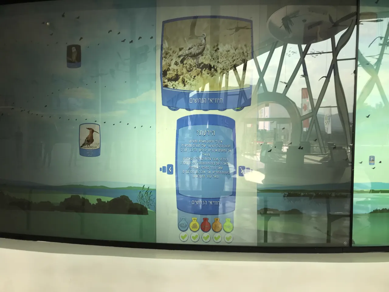פרט מתוך קיר הציפורים המציג מידע ותכונות בחידון.