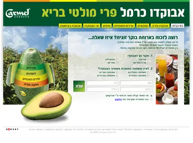 אבוקדו כרמל — מסך מהפרויקט (1)